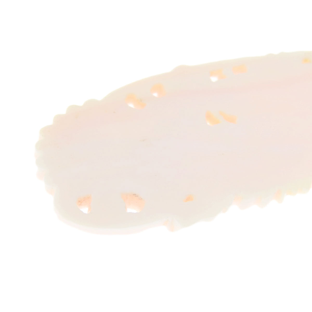 Coral Coral Loose Coral 9.5g Ladies