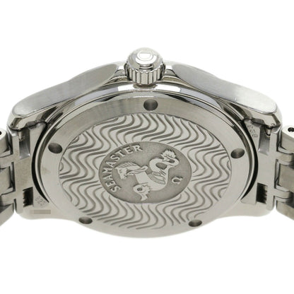 OMEGA Seamaster120m Watches 2511.81 Stainless Steel/Stainless Steel mens