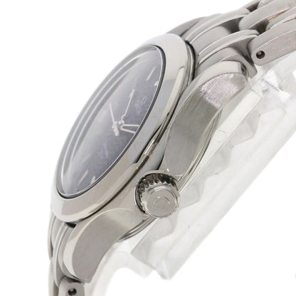 OMEGA Seamaster 120m Watches 2581.81 Stainless Steel/Stainless Steel Ladies