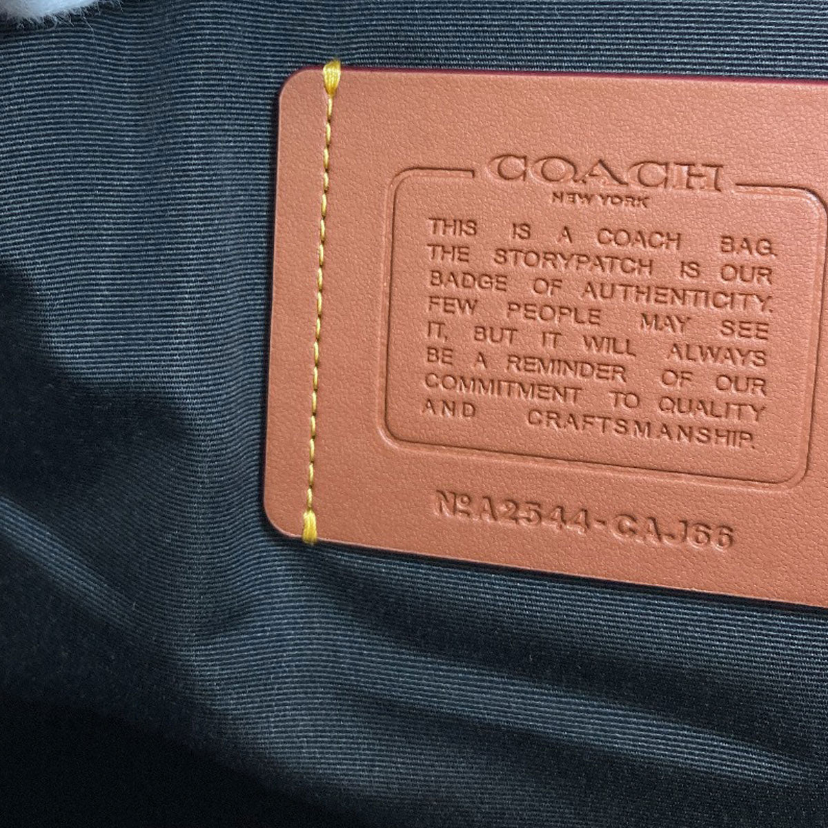 COACH CAJ66 logo Backpack Â· Daypack Leather Ladies [Used]