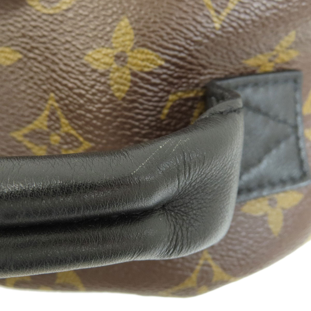 LOUIS VUITTON  M44871 Backpack Â· Daypack Palm Springs Monogram Monogram canvas Ladies