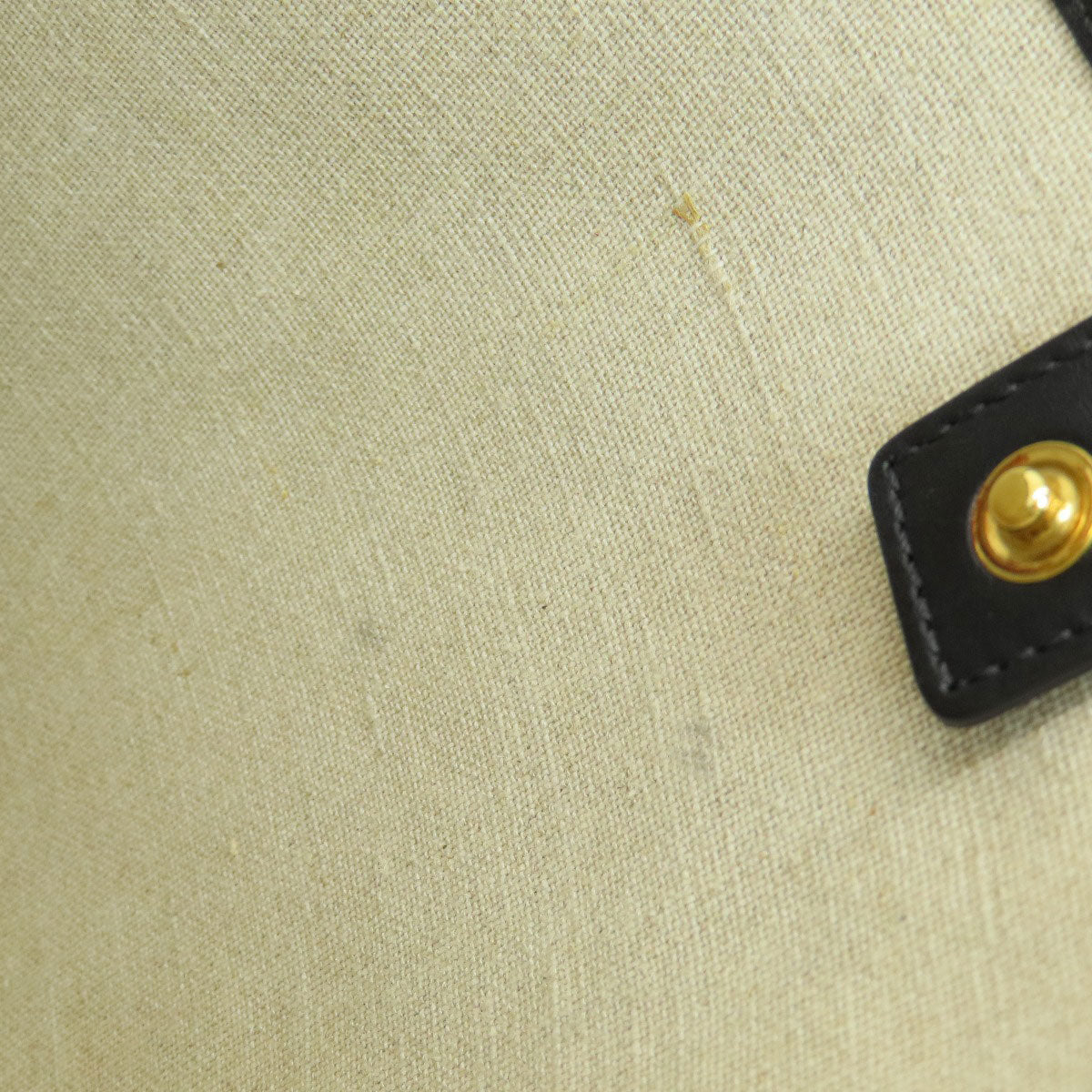 CELINE Small Bucket Triomphe Shoulder Bag Canvas Ladies [Used]