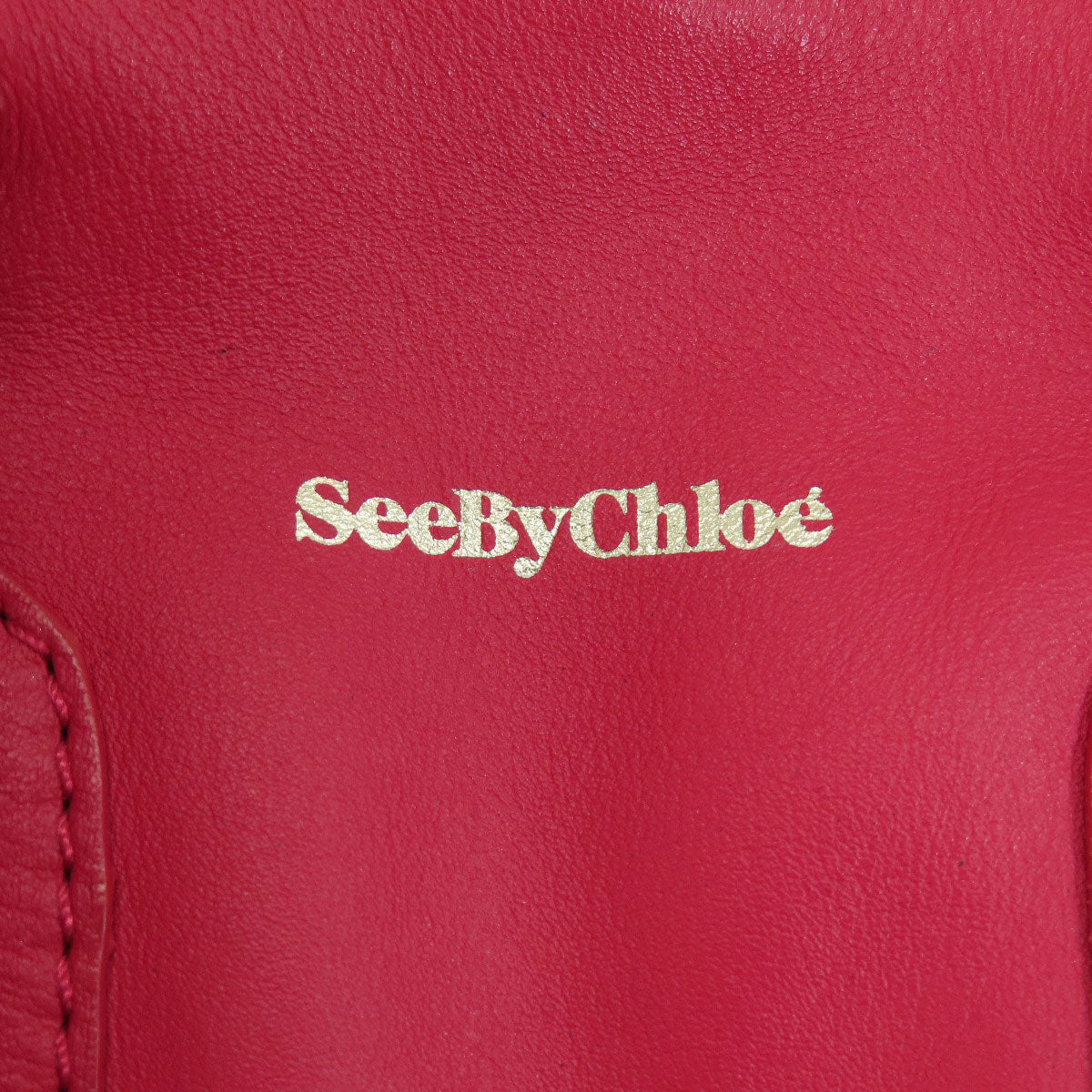 SEE BY CHLOE   Handbag Logo 2WAY Leather Ladies