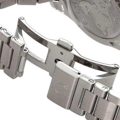 OMEGA Seamaster Aqua Terra Watches 231.10.39.60.02.001 Stainless Steel/Stainless Steel mens