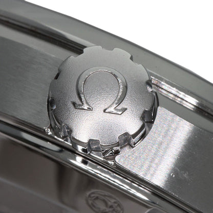 OMEGA Seamaster Aqua Terra Watches 231.10.39.60.02.001 Stainless Steel/Stainless Steel mens