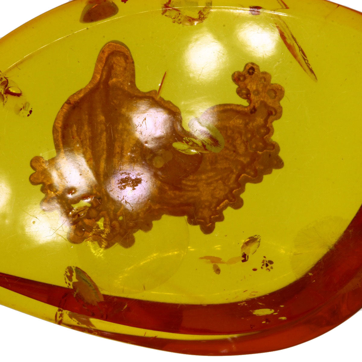 Amber Amber Pendant top 18K  11.7g　Ladies