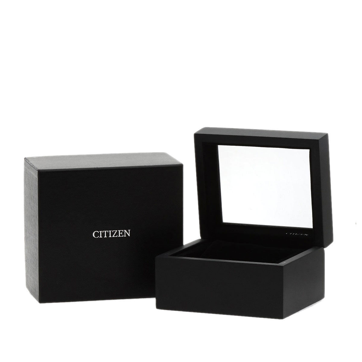 CITIZEN The citizen Watches A010-T017983 AQ1000-58A Stainless Steel/Stainless Steel mens