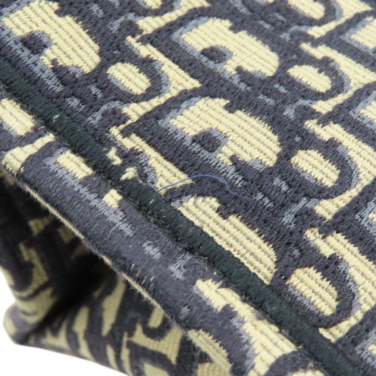 CHRISTIAN DIOR book tote large Tote Bag Canvas Ladies [Used]