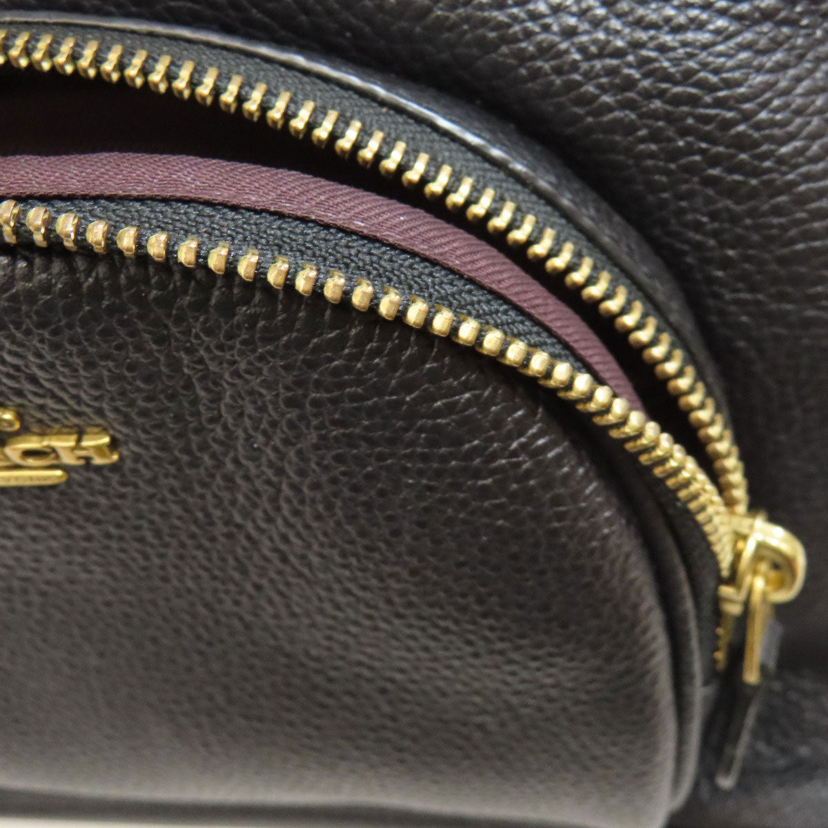 COACH  93836 Backpack Â· Daypack logo Leather Ladies