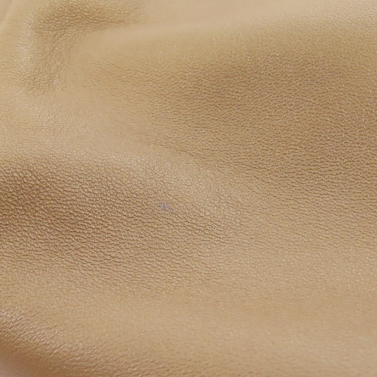 LOEWE   Handbag Nappa Aire Lambskin Ladies