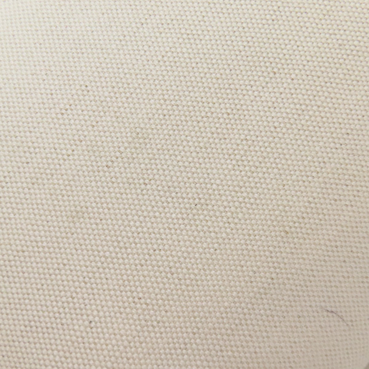 VALENTINO Logo studs Tote Bag Canvas Ladies [Used]