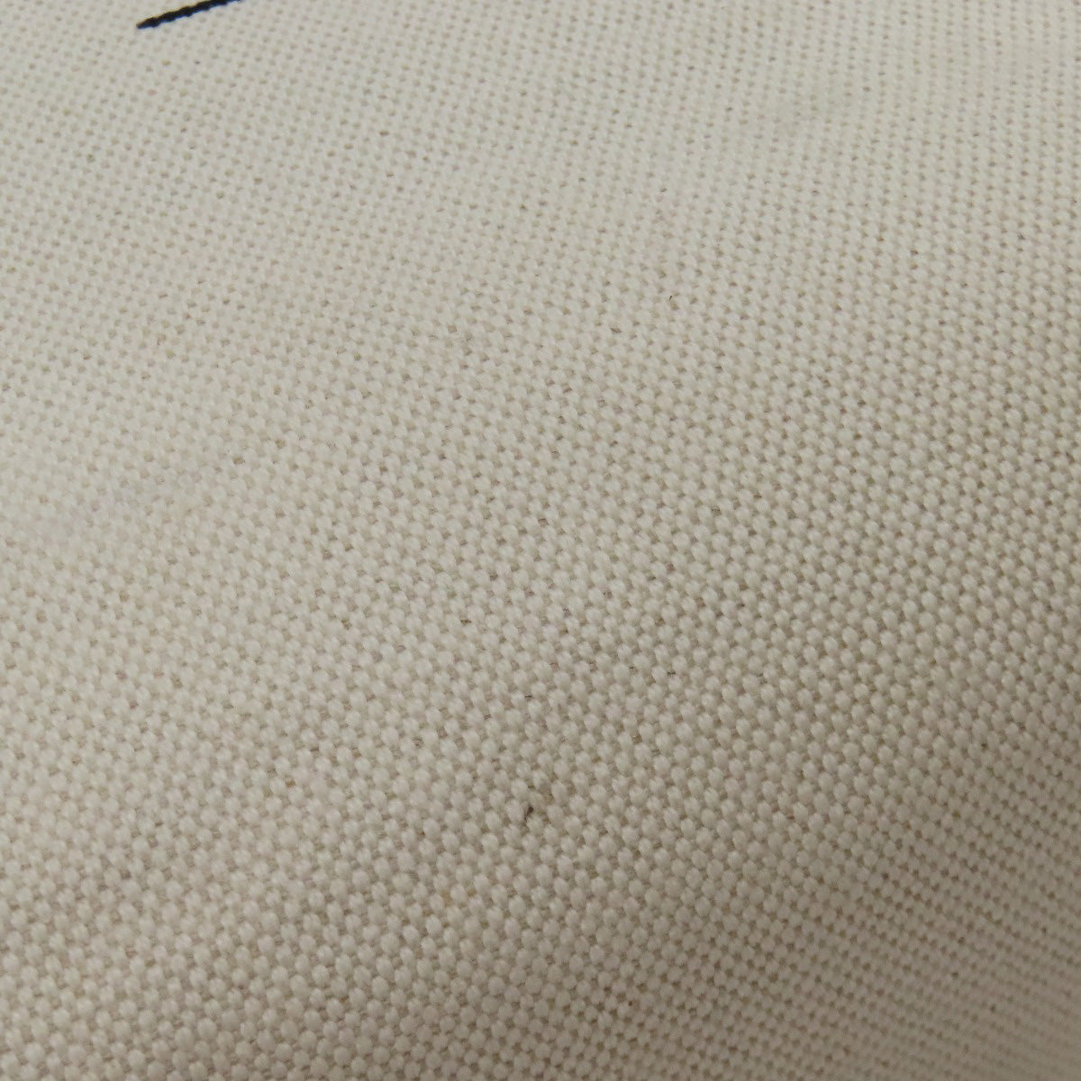 VALENTINO Logo studs Tote Bag Canvas Ladies [Used]