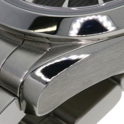 OMEGA Seamaster Aqua Terra Watches 231.10.30.61.06.001 Stainless Steel/Stainless Steel Ladies