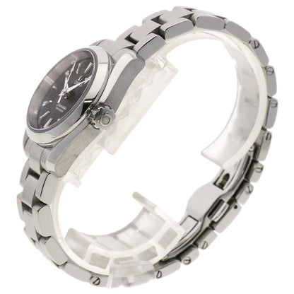 OMEGA Seamaster Aqua Terra Watches 231.10.30.61.06.001 Stainless Steel/Stainless Steel Ladies