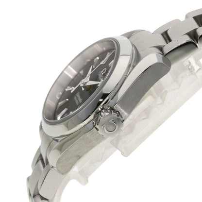 OMEGA Seamaster Aqua Terra Watches 231.10.30.61.06.001 Stainless Steel/Stainless Steel Ladies