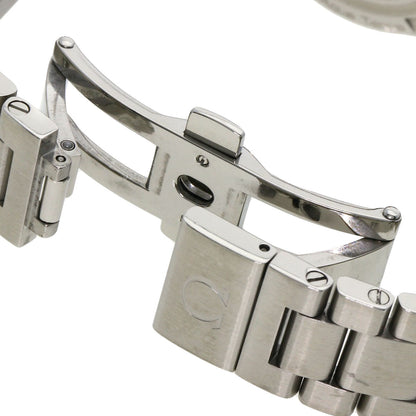 OMEGA Seamaster Aqua Terra Watches 231.10.30.61.06.001 Stainless Steel/Stainless Steel Ladies