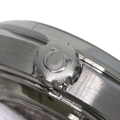 OMEGA Seamaster Aqua Terra Watches 231.10.30.61.06.001 Stainless Steel/Stainless Steel Ladies