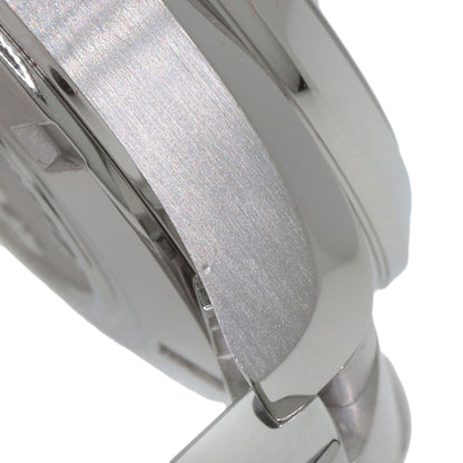 OMEGA SeamasterAqua Terra Watches 231.10.30.61.02.001 Stainless Steel/Stainless Steel mens