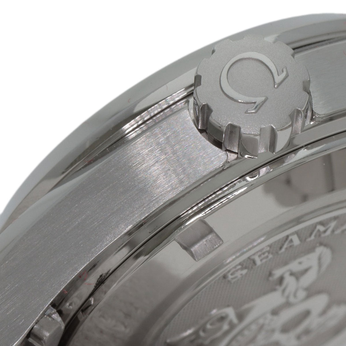 OMEGA SeamasterAqua Terra Watches 231.10.30.61.02.001 Stainless Steel/Stainless Steel mens