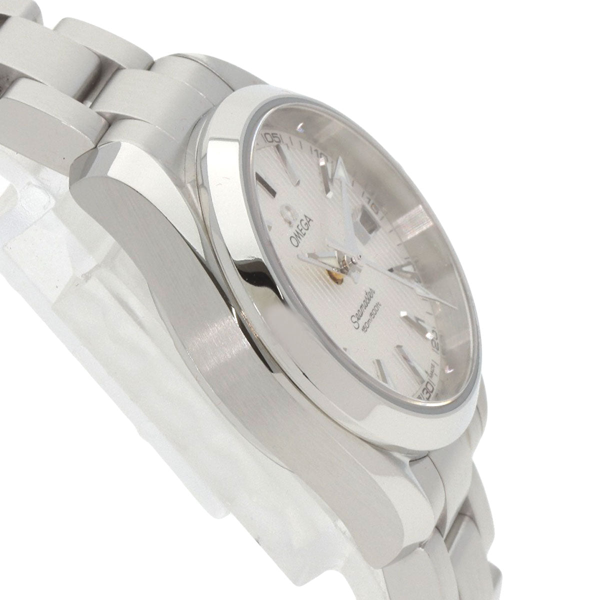 OMEGA SeamasterAqua Terra Watches 231.10.30.61.02.001 Stainless Steel/Stainless Steel mens