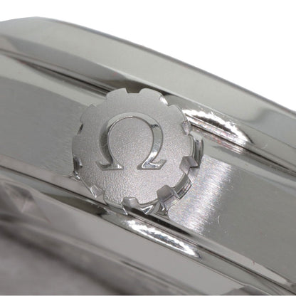 OMEGA SeamasterAqua Terra Watches 231.10.30.61.02.001 Stainless Steel/Stainless Steel mens