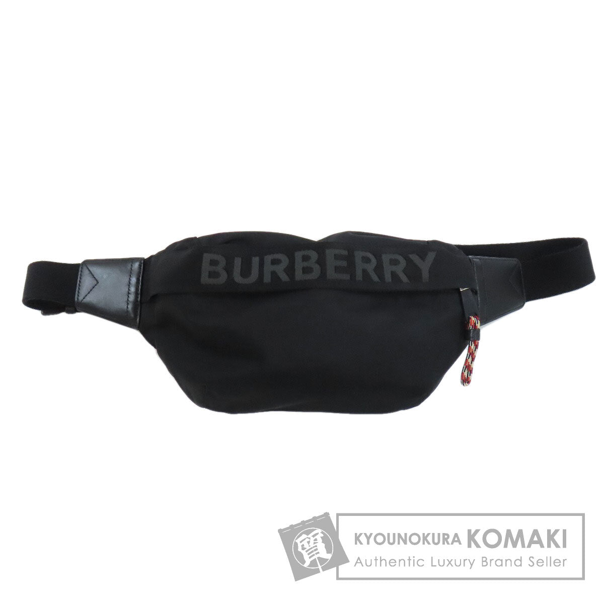 BURBERRY logo body bag Nylon Ladies [Used]