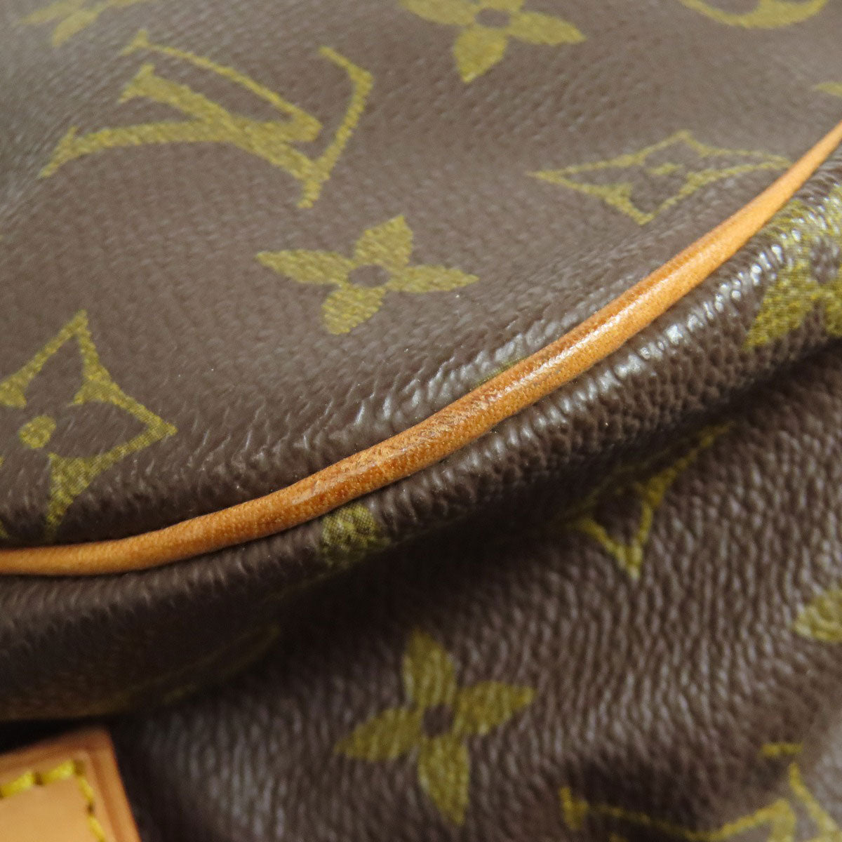 LOUIS VUITTON  M42254 Tote Bag Saumur Monogram canvas Ladies