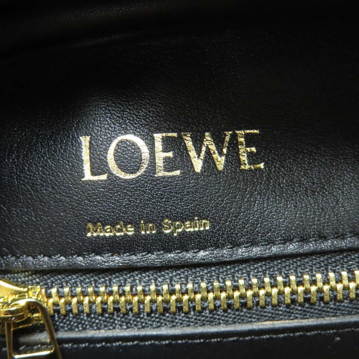 LOEWE Amazona19 2WAY Handbag Canvas Ladies [Used]