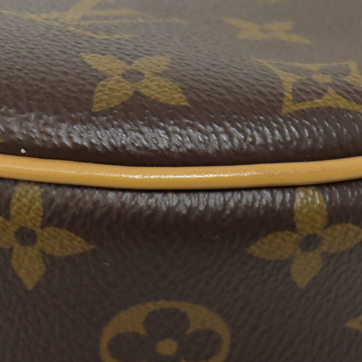 LOUIS VUITTON M81098 loop Shoulder Bag Monogram canvas Ladies [Used]