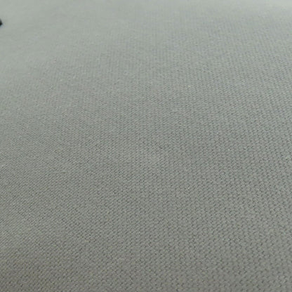 Salvatore Ferragamo logo Tote Bag Canvas Ladies [Used]