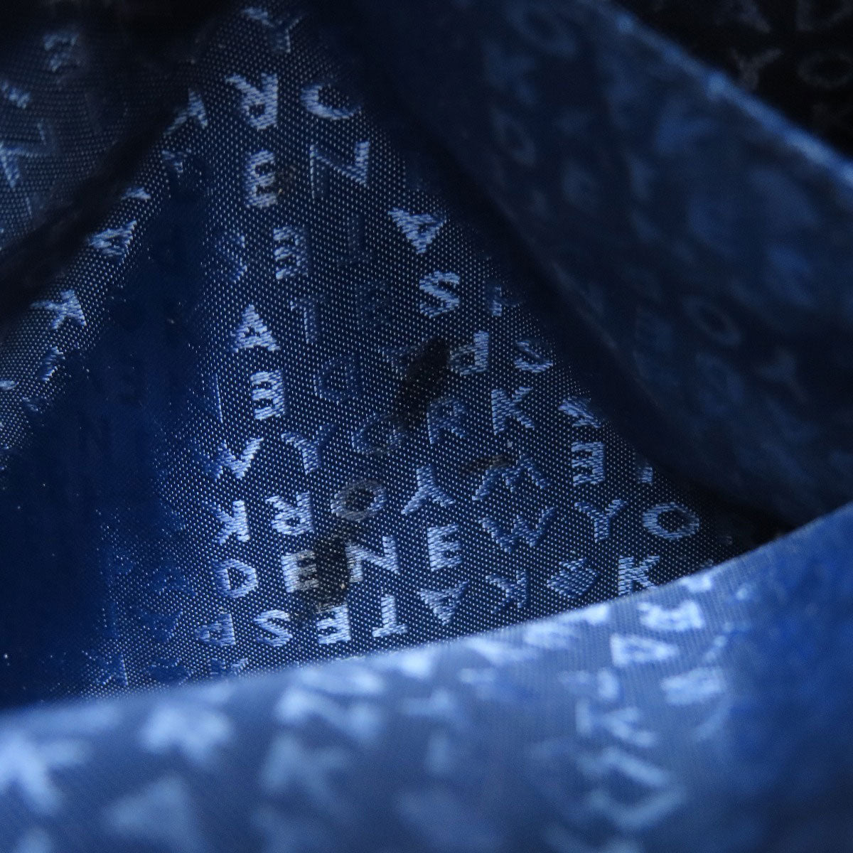 kate spade border Backpack Â· Daypack PVC Ladies [Used]