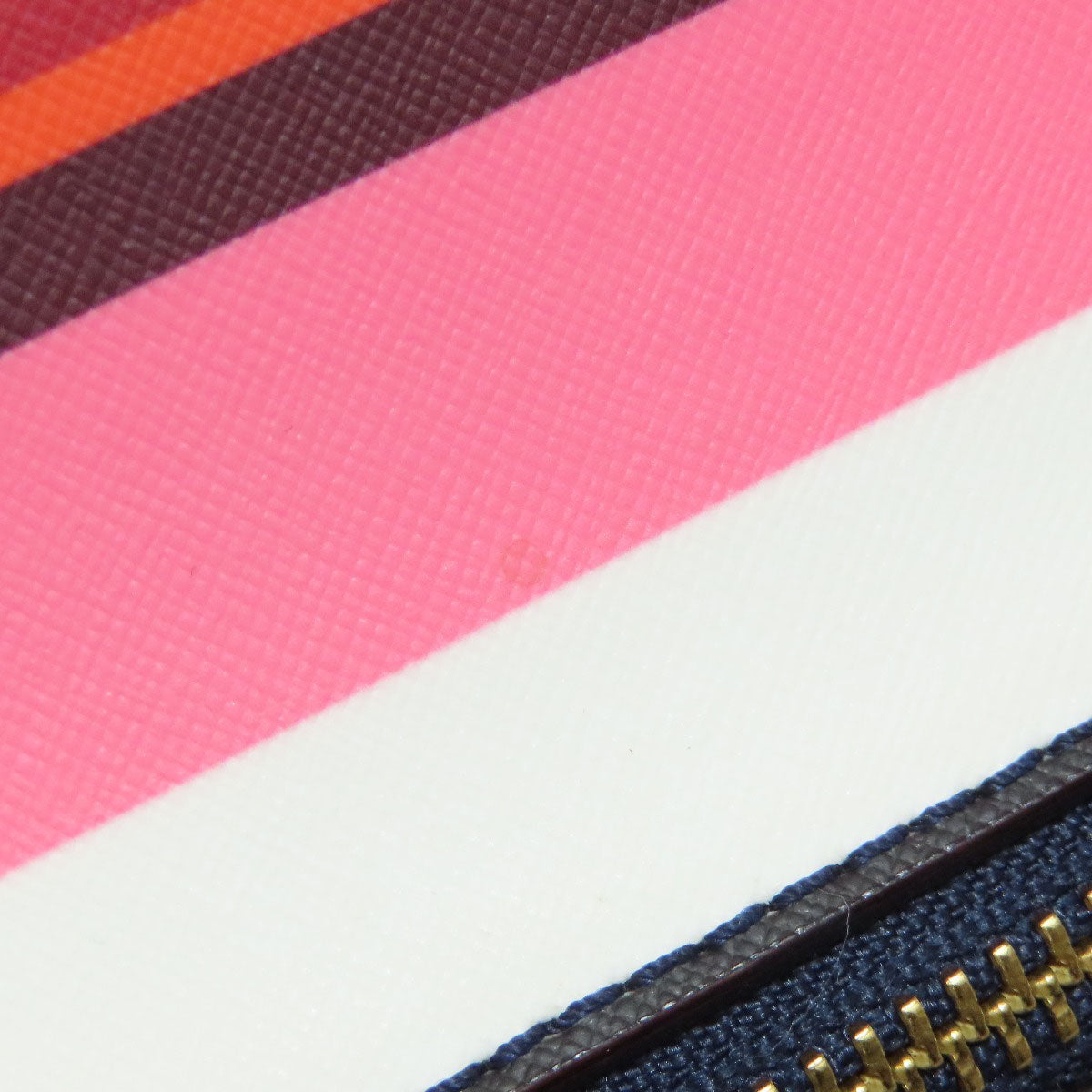 kate spade border Backpack Â· Daypack PVC Ladies [Used]