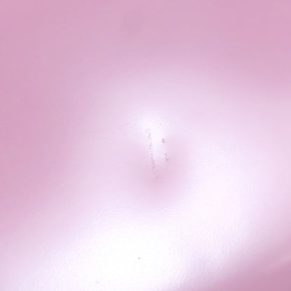 Salvatore Ferragamo Mini Chain Bag 2WAY Shoulder Bag Leather Ladies [Used]