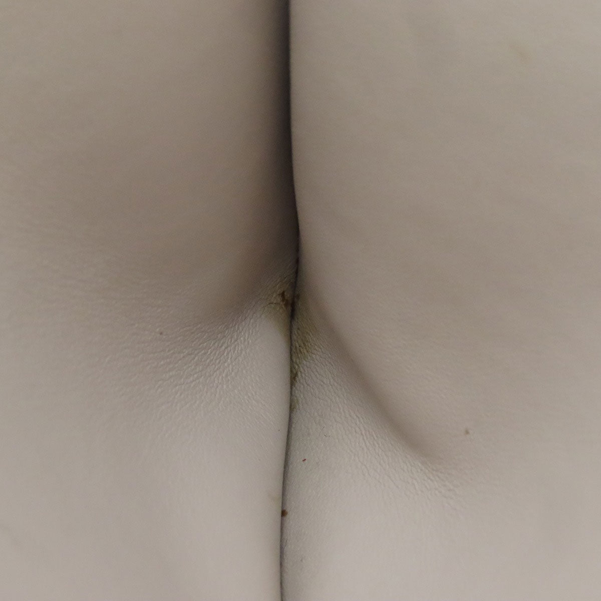 CHRISTIAN DIOR 2WAY Handbag Calf Ladies [Used]