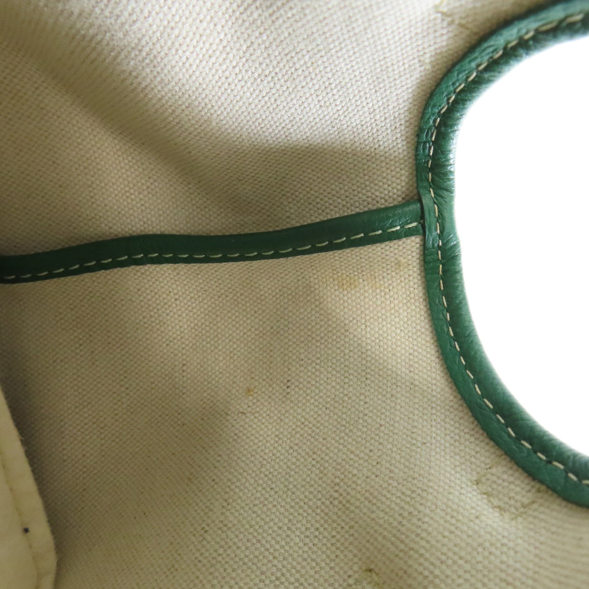 GOYARD Cyan Green Tote Bag Coating canvas Ladies [Used]