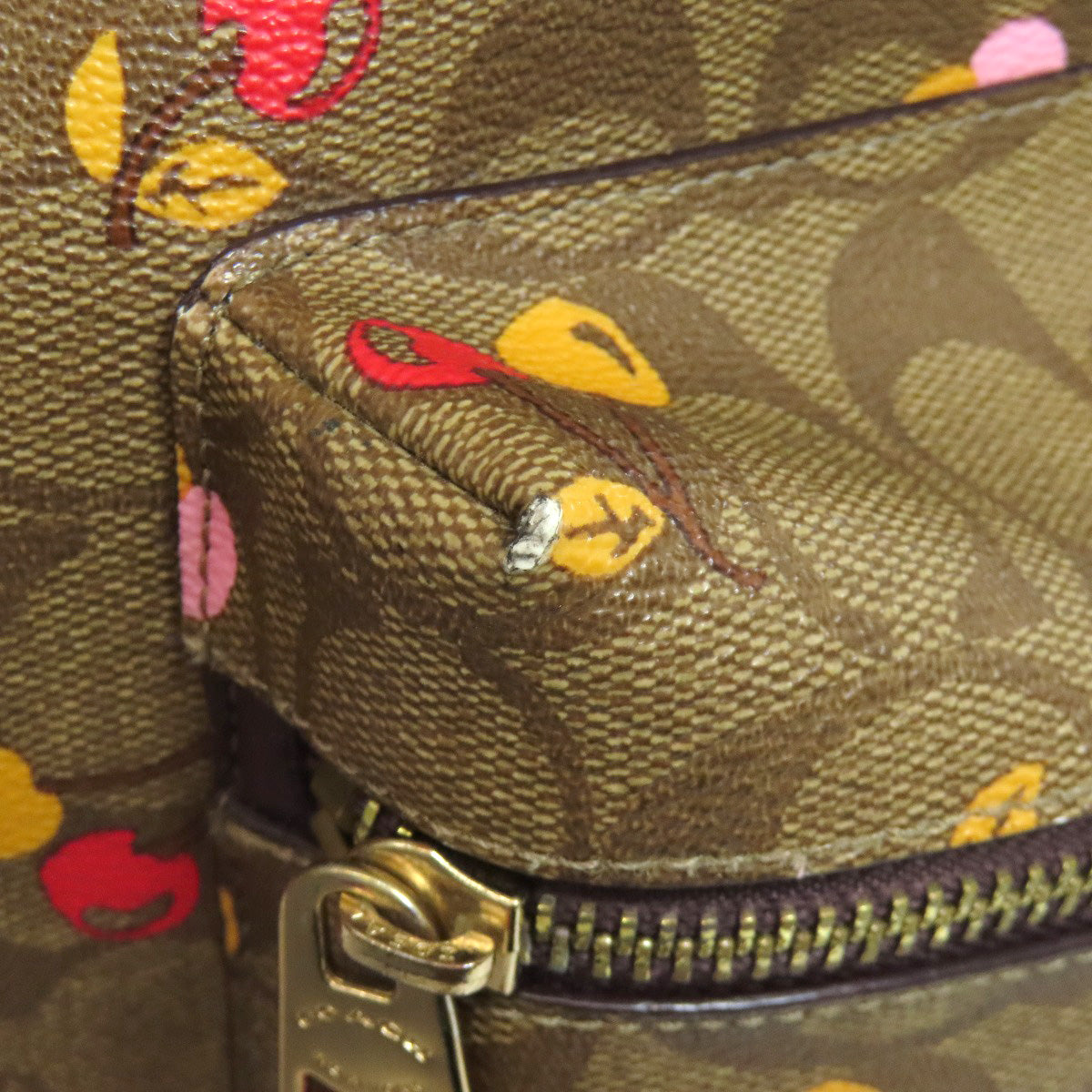 COACH F31372 Cherry Signature Backpack Â· Daypack PVC Ladies [Used]