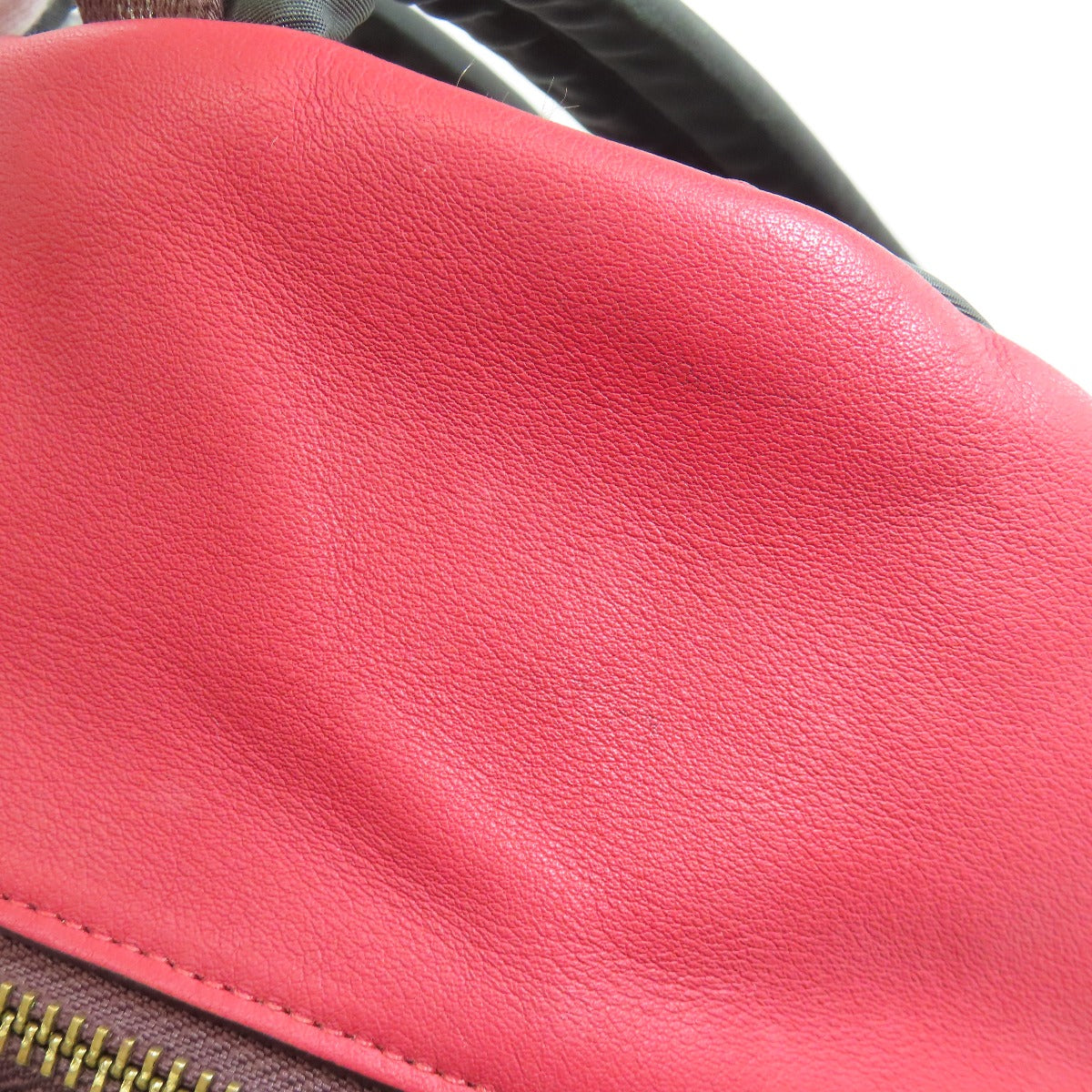 COACH F31372 Cherry Signature Backpack Â· Daypack PVC Ladies [Used]