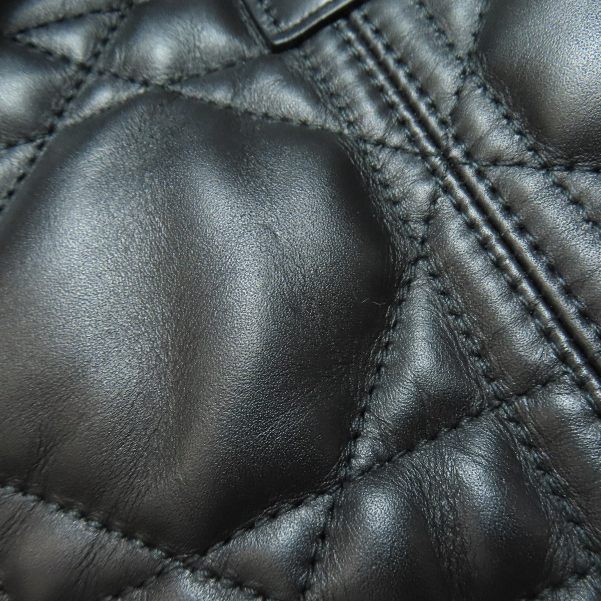 CHRISTIAN DIOR To joule Tote Bag Calf Ladies [Used]