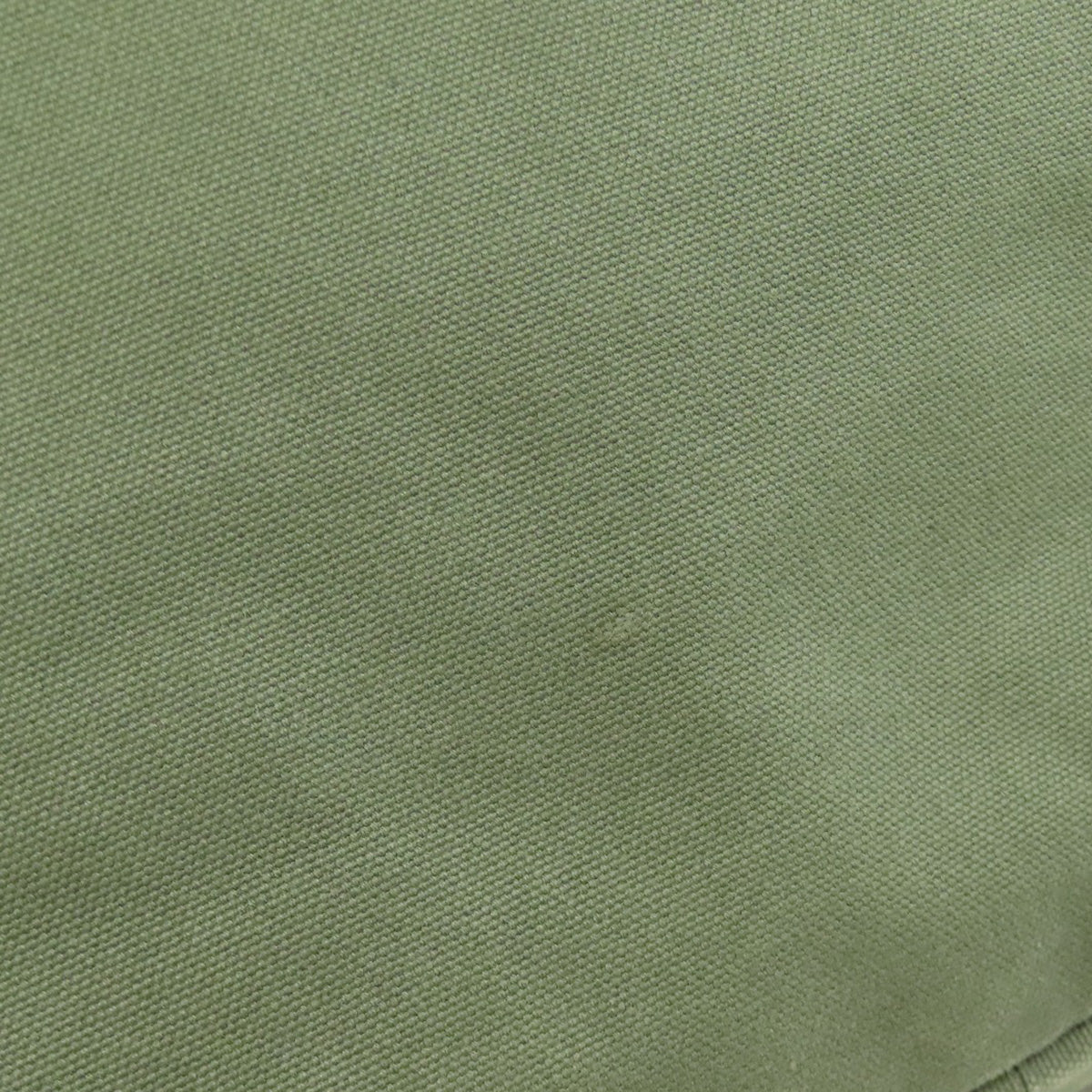 LOEWE Paula's Ibiza Tote Bag Canvas Ladies [Used]