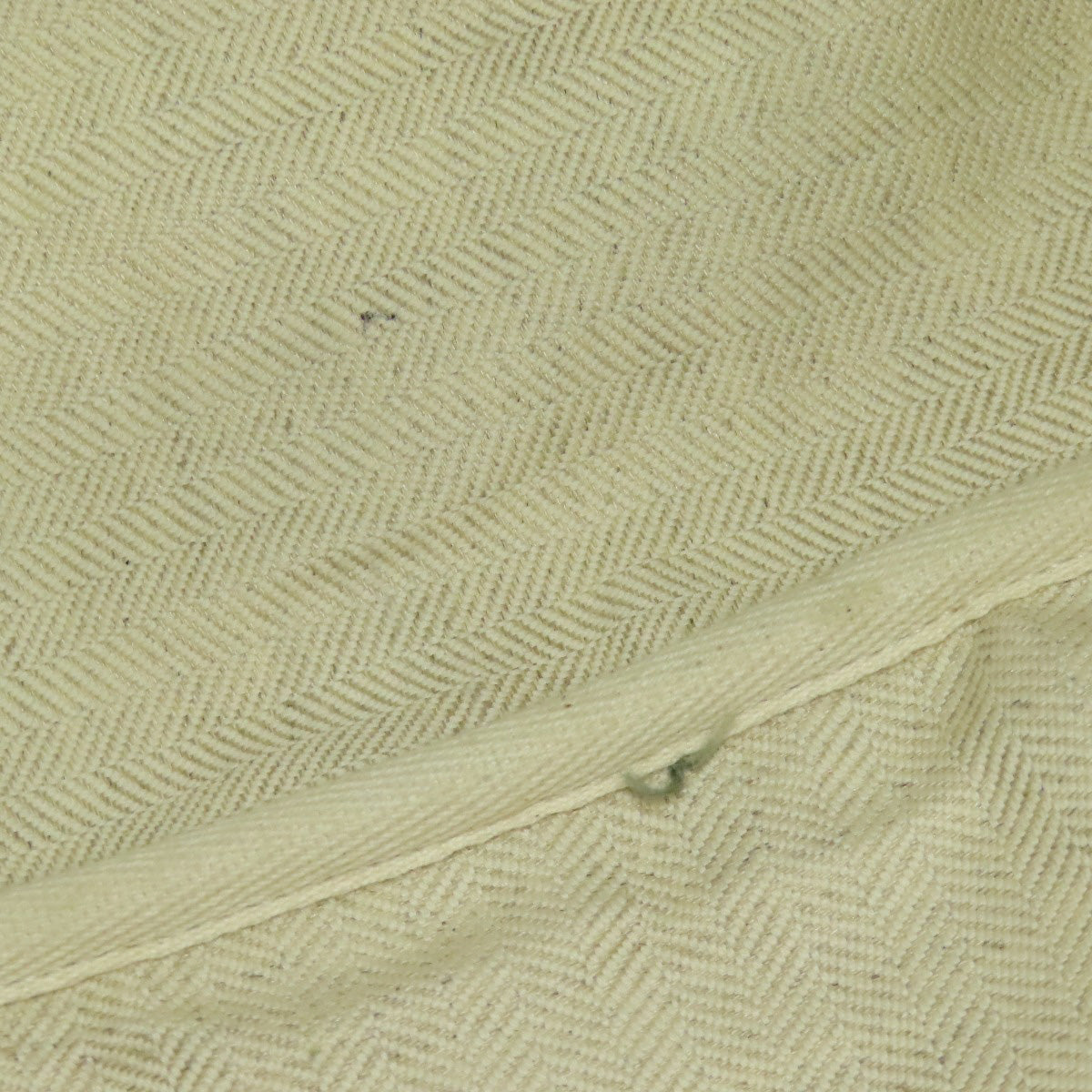 LOEWE Paula's Ibiza Tote Bag Canvas Ladies [Used]