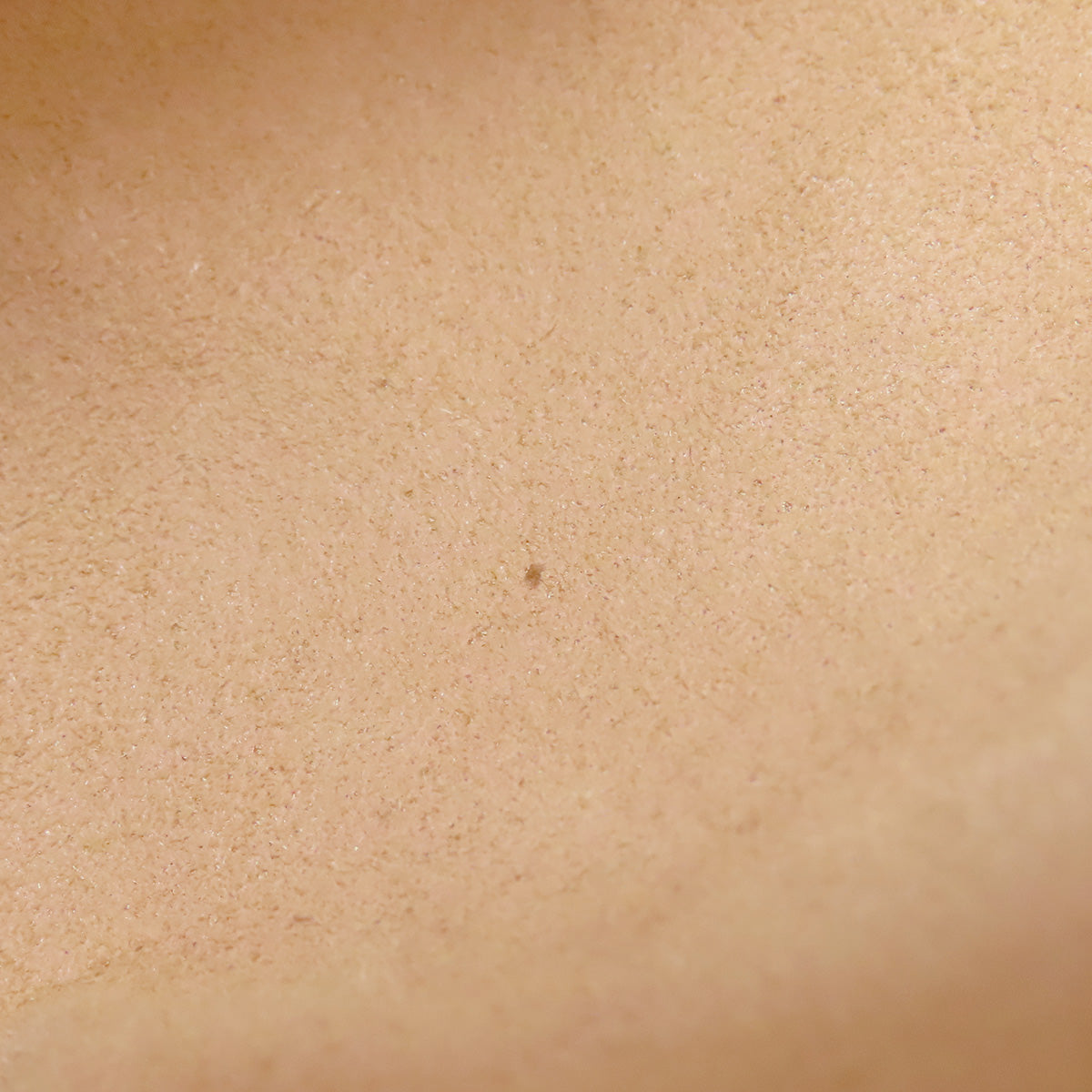 GUCCI 409487 Small Padlock GG Supreme Shoulder Bag PVC LeatherLadies [Used]