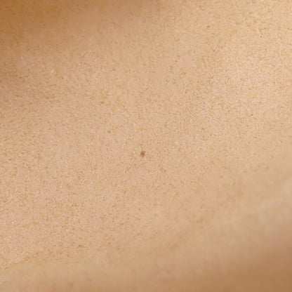 GUCCI 409487 Small Padlock GG Supreme Shoulder Bag PVC LeatherLadies [Used]