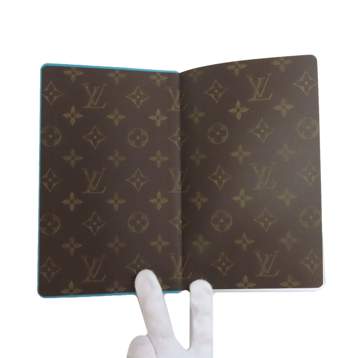 LOUIS VUITTON paper Ladies [Used]