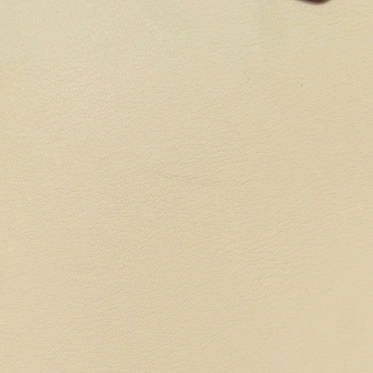 CELINE Luggage micro Tote Bag Calf Ladies [Used]