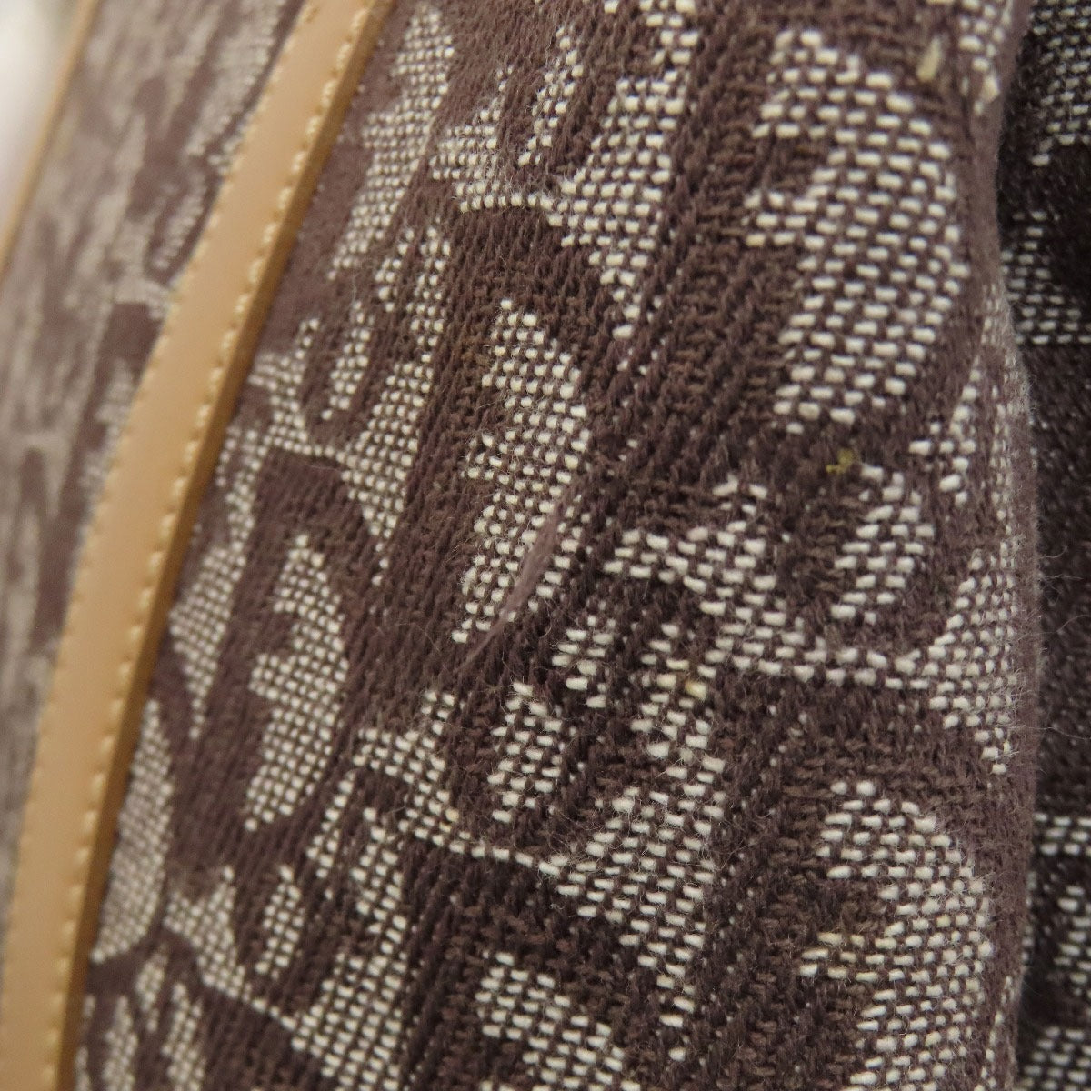 CHRISTIAN DIOR Trotter pattern Tote Bag Canvas Ladies [Used]