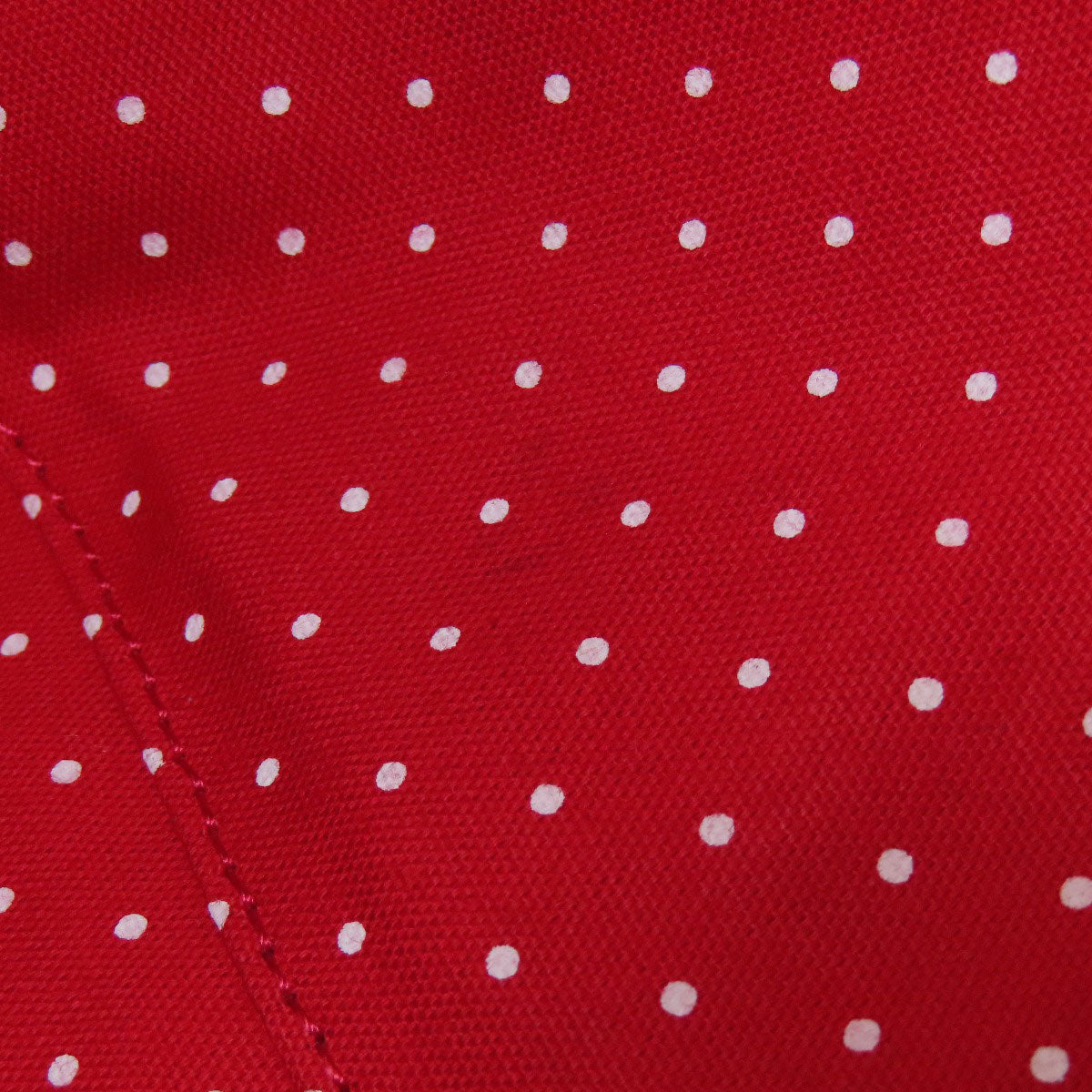 Samantha Thavasa 2WAY Tote Bag Canvas Ladies [Used]