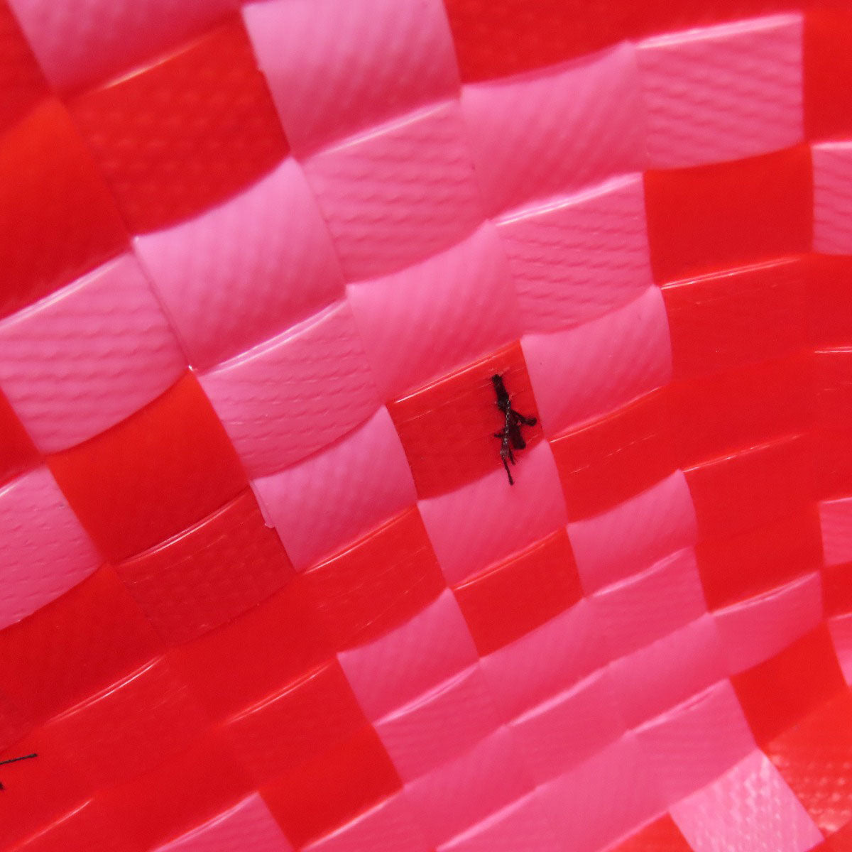 MARNI Kids' Diamond Basket Bag Handbag polypropylene Ladies [Used]