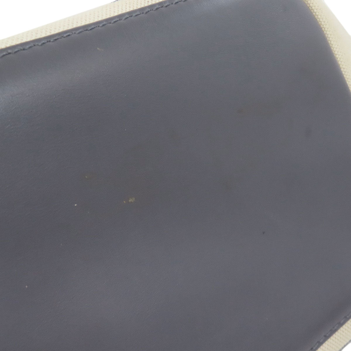 BALENCIAGA NAVY CABAS Tote Bag Canvas Ladies [Used]