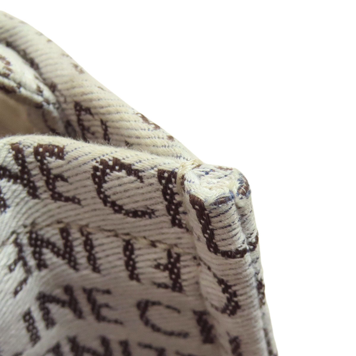 CELINE Small Hippo Thais Triomphe Handbag Canvas Ladies [Used]