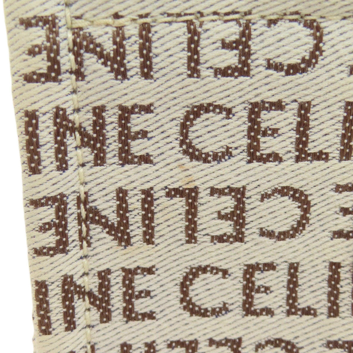 CELINE Small Hippo Thais Triomphe Handbag Canvas Ladies [Used]